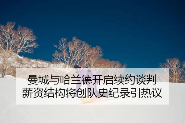 man-cheng-yu-ha-lan-de-kai-qi-xu-yue-tan-pan-xin-zi-jie-gou-jiang-chuang-dui-shi-ji-lu-yin-re-yi-2-466.jpg